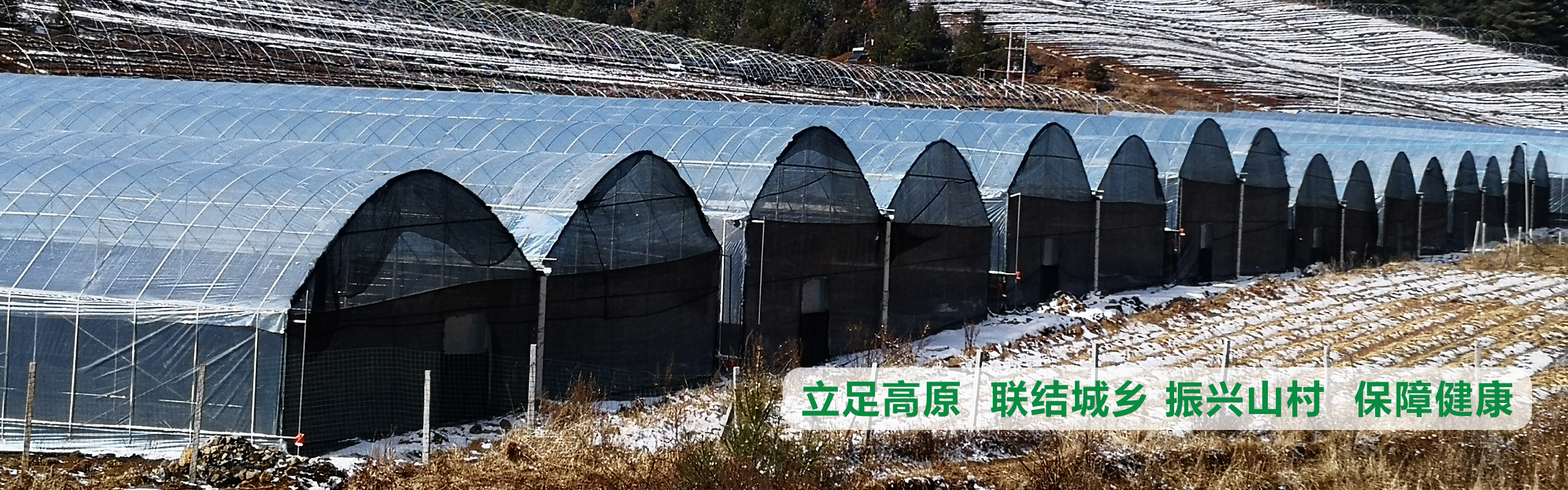 立足高原、聯結城鄉、振興山村、保障健康
